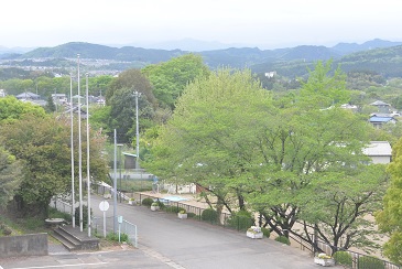 校庭