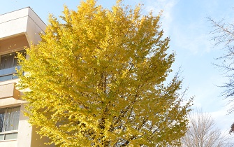 主体的な学習の促進