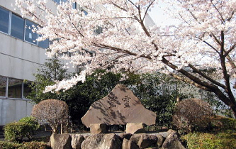 学校・環境