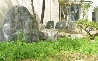 活動
