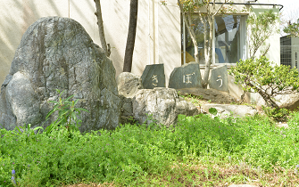 活動